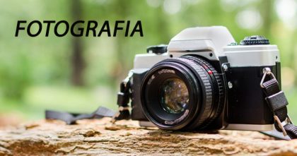 Máquina fotográfica em cima de tronco de árvore